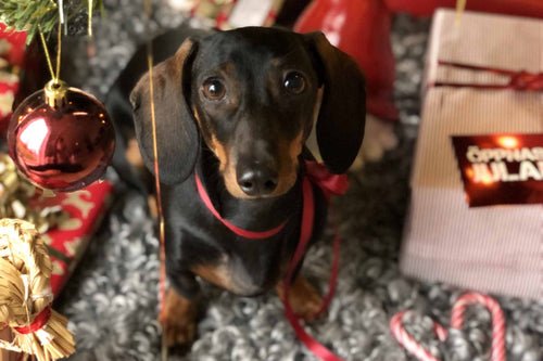 Hur firar man juldagen?