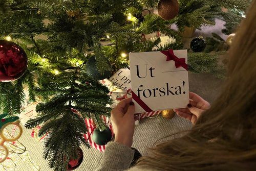 Julklapp till flickvän