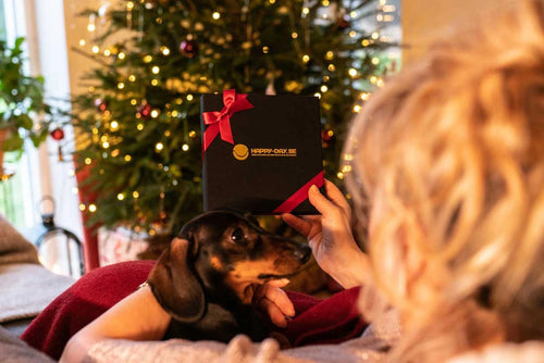 Sista minuten julklapp