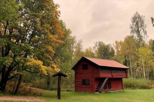 Upplevelser i Borlänge