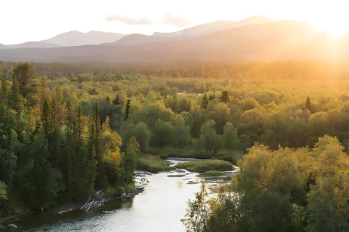 Upplevelser i Jämtland