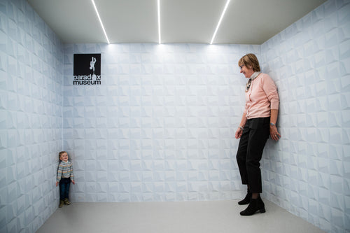 Paradox museum