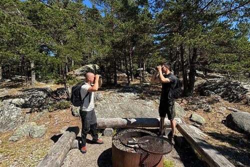 Naturupplevelse - björnsafari