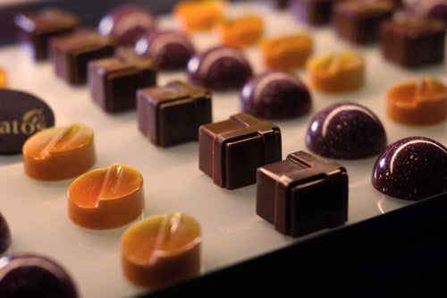 Chokladprovning i Västersås