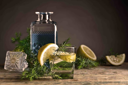 Smakupplevelse - ginprovning