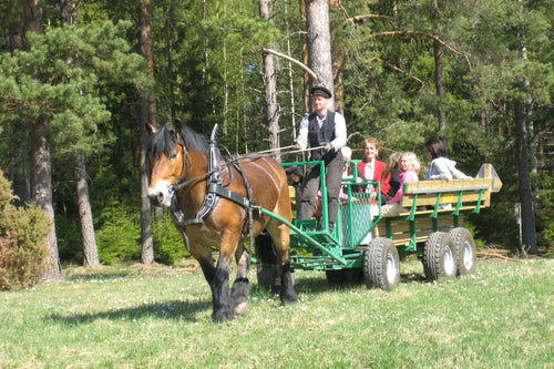 Häst och vagn