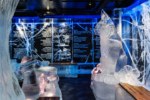 ICE BAR Stockholm