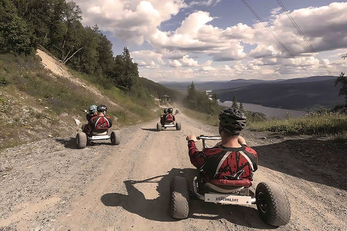 Mountain cart för två i Åre