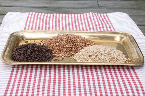 Smakupplevelse - ölbryggning