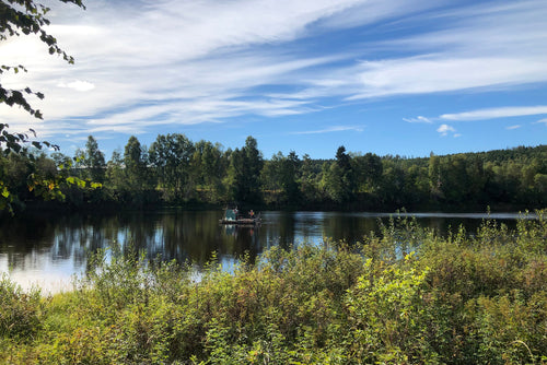 övernattning i Vildmarksbyn