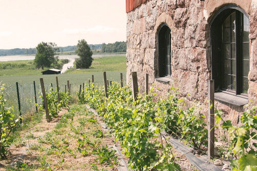 Unik övernattning - bo på en vingård