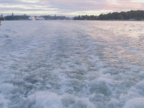 Räkfrossa till havs