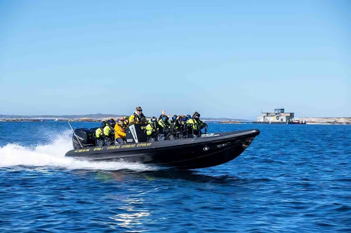 RIB-Båt sightseeing i Malmö