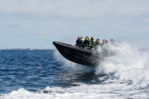 RIB-Båt safari