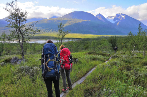 Naturupplevelse - Safari i Sveriges natur