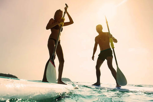 Stand up paddle board