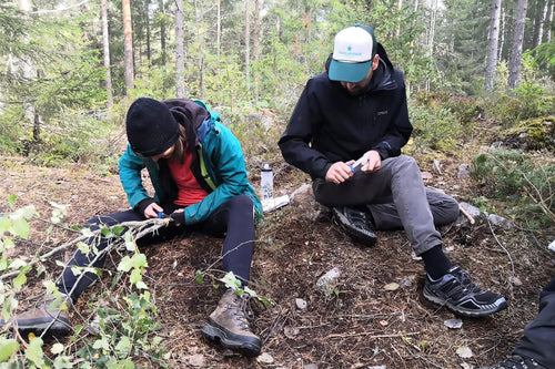 Vilda ätbara växter