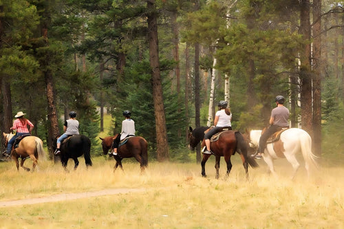 Westernridning på Gotland